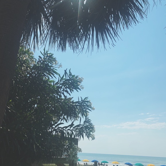 Meet your Posher, Lyndsie - Picture 1 of 1